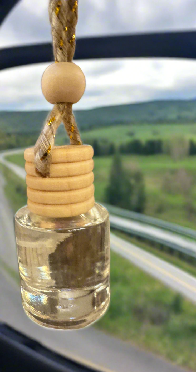 Two Car Diffusers